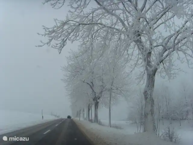 Winter foto